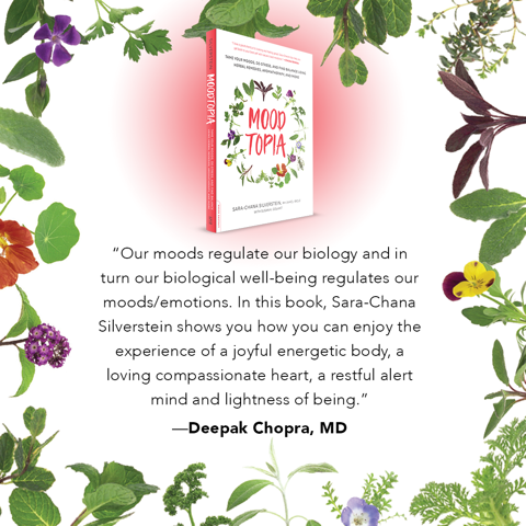 Our moods regulate our biology and in turn, our biological well being regulates our moods/emotions. In this book, Sara-Chana Silverstein shows you how you can enjoy the experience of a joyful energetic body, a loving compassionate heart, a restful alert mind and lightness of being. - Deepak Chopra, MD
