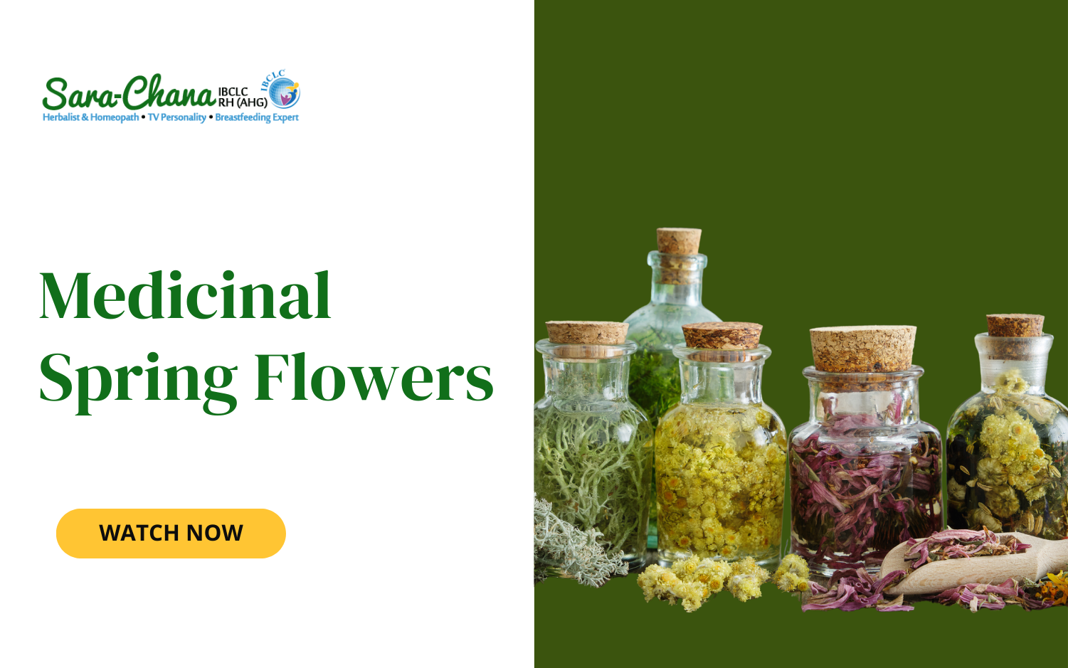 Medicinal Spring Flowers