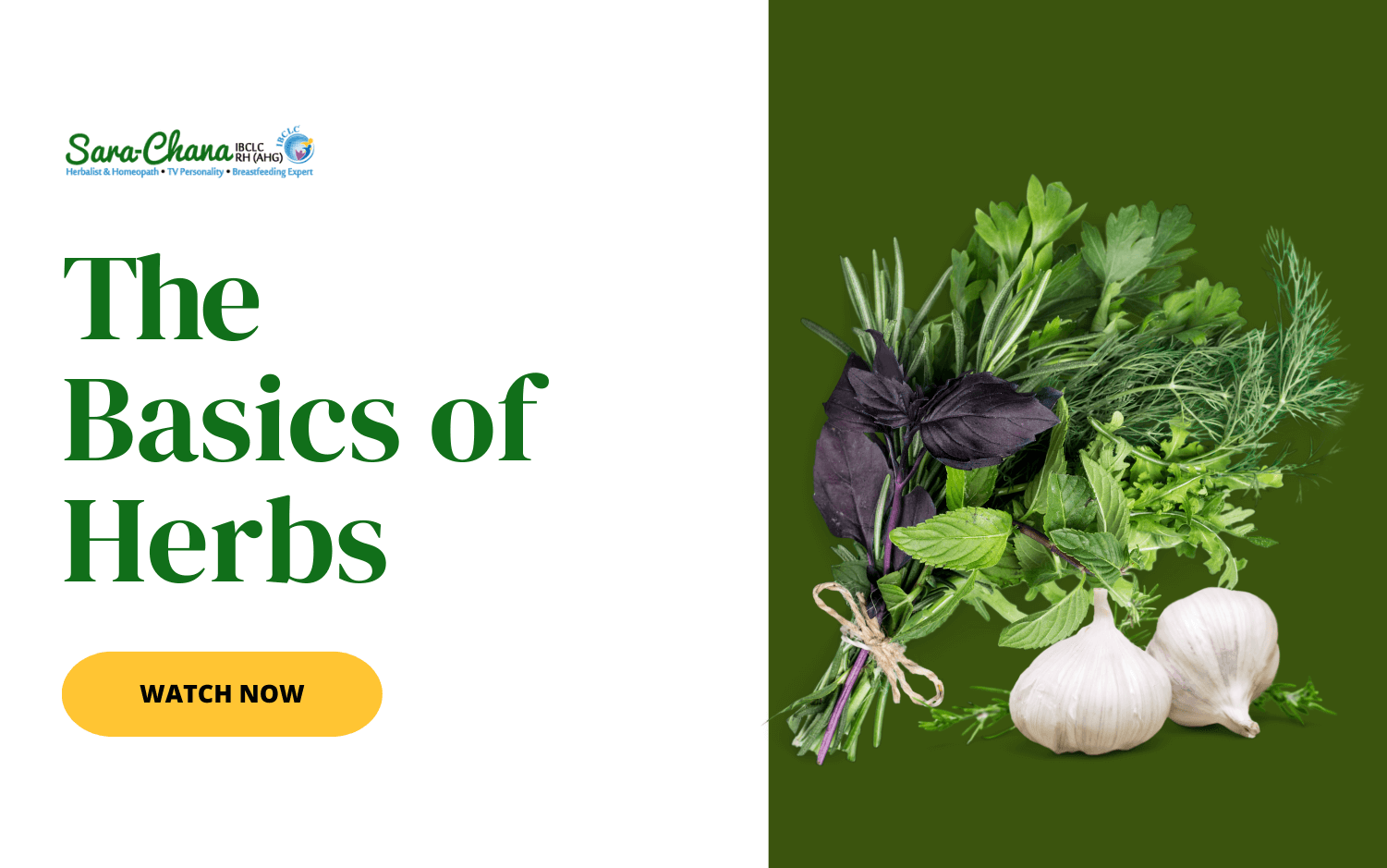 Basics of Herbs